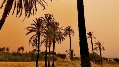 'Lluvia de sangre' en España: ¿qué es la calima y por qué hay tormentas de arena del Sáhara?