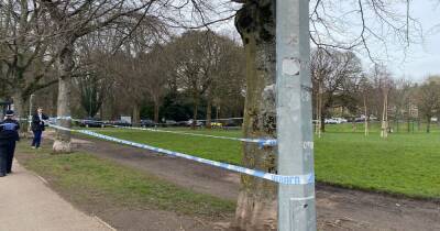 Two arrested after alleged assault in popular Cardiff park - live updates - walesonline.co.uk