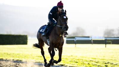 Stage is set for 'horse of a lifetime' Tiger Roll
