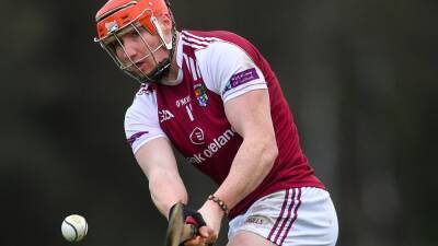 Whelan: GAA expenses as a student is a huge issue - rte.ie