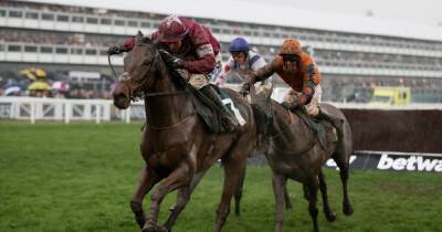 Willie Mullins - Bob Olinger - Garry Owen - Cheltenham Festival 2022 day three tips including winners for Ryanair Chase and Stayers Hurdle - dailyrecord.co.uk - county Martin -  Punchestown -  Leopardstown