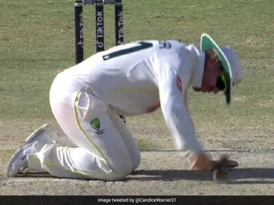 Watch: David Warner Tries To Fix Karachi Pitch With "Thor Hammer", Wife Candice Reminds Batter Of Household Work