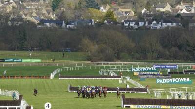 Cheltenham - Cheltenham going expected to quicken again for Gold Cup day - rte.ie