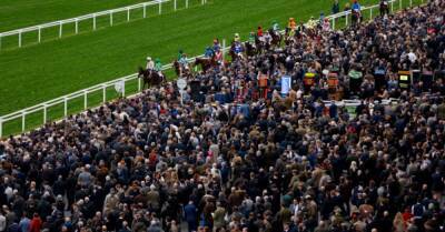 Cheltenham: Bookmakers celebrating after big-priced Festival winners