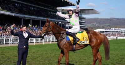 Cheltenham latest: Mullins takes three from three as The Nice Guy wins Bartlett Novices' Hurdle