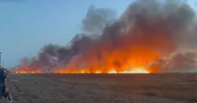 Video shows massive wildfire sweeping across marshland in Wirral - manchestereveningnews.co.uk