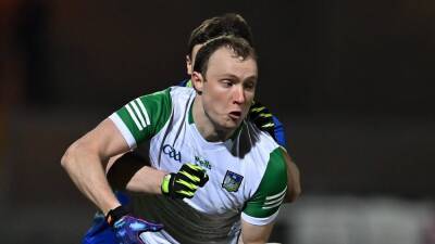 Limerick hold their nerve to bag priceless win in Laois