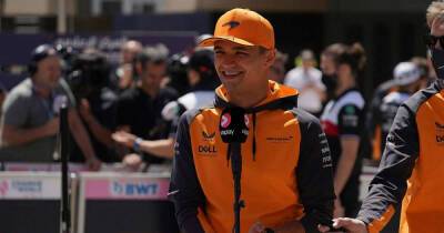 Antonio Giovinazzi - Lando Norris - Colton Herta - Oscar Piastri - Norris ‘excited’ by prospects of Herta, Piastri - msn.com - Usa - Australia - Abu Dhabi - Uae