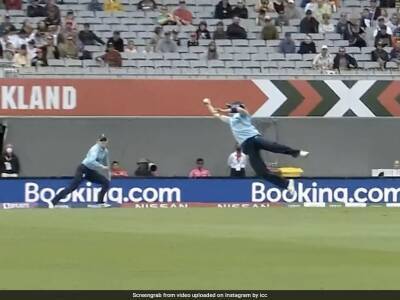 Watch: Heather Knight Takes Jaw-Dropping One-Handed Catch In ICC Women's World Cup Match vs New Zealand
