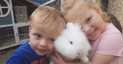 Community comes together to mourn brother and sister killed in M4 crash - walesonline.co.uk - county Lee