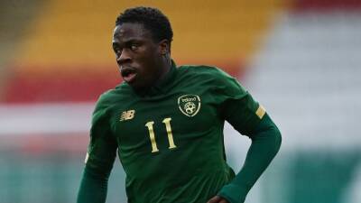 Stephen Kelly urges Michael Obafemi to grasp Ireland call when it comes as Swansea striker sits out March friendlies