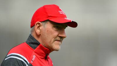 Mickey Harte to remain in Louth hot seat until 2025