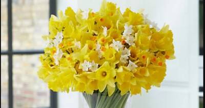 You can get a 100-stem Mother's Day bouquet of flowers delivered for £10 at M&S - manchestereveningnews.co.uk - Britain - Greece