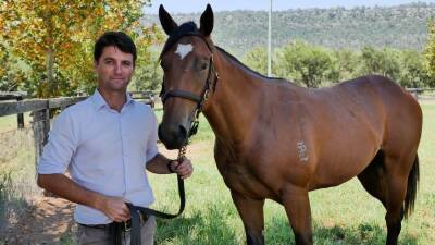 Bought at the Magic Millions — one for $1.9m, the other for $10,000 — these horses could still race on the same track