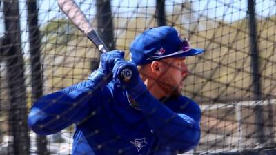 Springer's health key to Jays' offensive output - tsn.ca