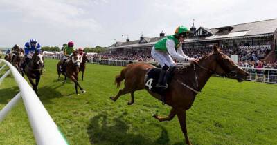 Dan Skelton - Musselburgh Races: Collingham fancied to come up trumps in East Lothian - msn.com - Britain - France