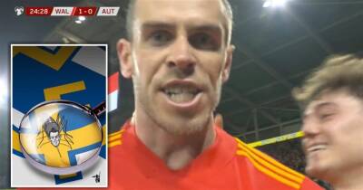 Gareth Bale: Did Wales star scream 'suck that' at Spanish media?