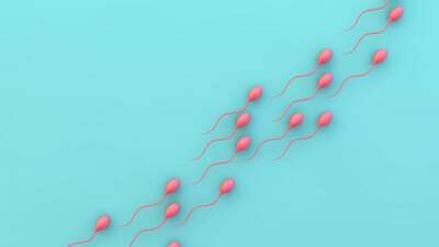 Health - Male birth control pill 99% effective in mice could start human trials this year - euronews.com - Usa