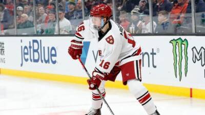 Leafs sign F Abruzzese to two-year ELC - tsn.ca