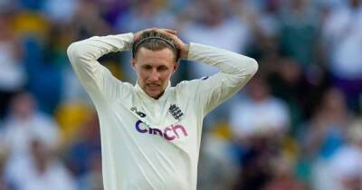 Joe Root should resign as England captain ‘for his own good’, claims Steve Harmison