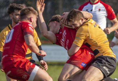 Redruth 49 Canterbury 10: National League 2 South match report