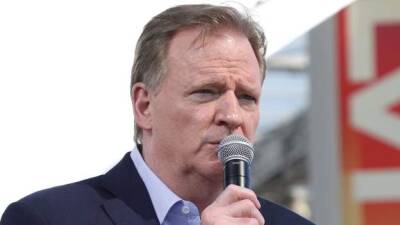 Brian Flores - Roger Goodell - Mike Macdaniel - Miami Dolphins - NFL franchises must appoint 'diverse person' as part of new guidance - bbc.com -  Houston