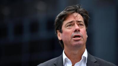 McLachlan apologises for AFL umpire abuse