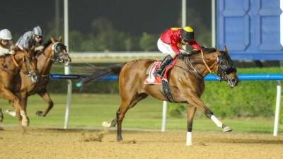 O’Shea and Fresu enter final stretch in battle for UAE jockey’s title