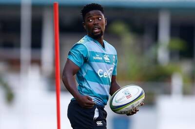 JP Pietersen sees Pumas game as fresh bid for forgotten Bok Nohamba get back on radar