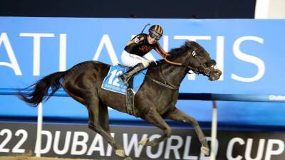Tadhg O’Shea set to seal 10th UAE jockeys' championship title - thenationalnews.com - Abu Dhabi - Uae -  Muscat