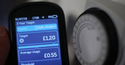 Do I need to give meter readings with a smart meter? Advice ahead of energy price rise