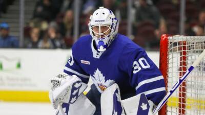 Taylor Hall - Ice Chips: Leafs recall Hutchinson, Hollowell and Kral on emergency basis - tsn.ca -  Boston