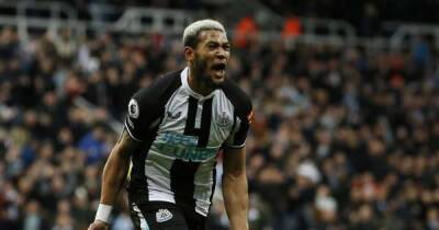 Huge blow: Newcastle facing potential setback before Brighton, Howe will be worried - opinion