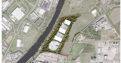 Plans to build more industrial space on former landfill in Carrington - manchestereveningnews.co.uk - Manchester