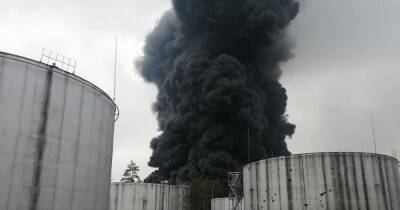 Ukraine-Russia peace talks: Has there been progress and could a ceasefire be agreed soon? - manchestereveningnews.co.uk - Russia - Ukraine - Belarus