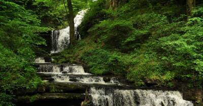 The gorgeous waterfall hidden in a forest less than two hours’ drive from Manchester - manchestereveningnews.co.uk - Britain - Manchester