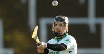 Paul Shefflin, brother of Kilkenny hurler Henry, dies aged 40