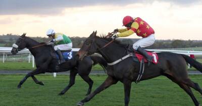 Horse racing tips and best bets from Huntingdon, Sedgefield, Leopardstown and Wexford