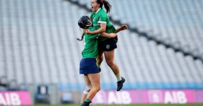 Magic McGrath helps to conjure win for Sarsfields to be crowned champions - breakingnews.ie - Ireland - county Park
