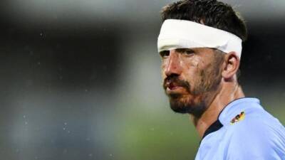 Rugby Union - Waratahs continue to build despite loss - 7news.com.au - Poland -  Canberra