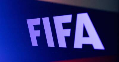 Soccer-FIFA opens special transfer window for foreign players in Russia