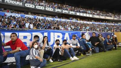 Greg Taylor - Suspenden a directiva del Querétaro y vetan un año al estadio La Corregidora - AS México - en.as.com