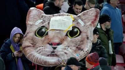 Zouma, el fichaje fallido por el Sevilla y los abusos a su gato