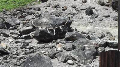 La ‘piedra asesina’ de Japón se parte en dos - en.as.com - county El Paso