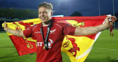 James Davies: Scarlets and Wales flanker forced to retire due to concussion