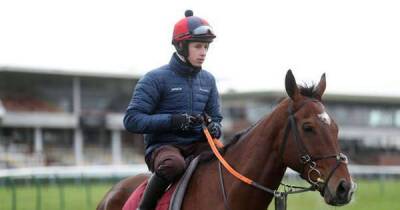 Horse Discorama dies after Grand National injury as trainer reveals he is 'heartbroken'