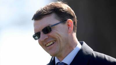 Ascot target for Meditate after winning Curragh debut