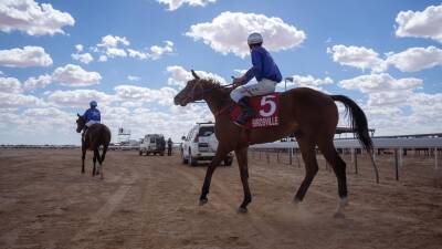 Paul Whelan - Birdsville Races return to outback Queensland after two-year-long COVID hiatus - abc.net.au