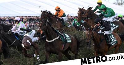 Noble Yeats - Grand National urged to increase safety measures after four horses die at Aintree - metro.co.uk