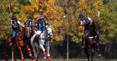 In Argentina, the mecca of polo, women swing mallets in first World Cup
